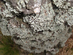 Fotoblog buziaczek12345