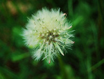 Fotoblog palynka23