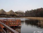 Fotoblog arisaandfriends