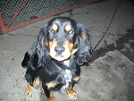 Fotoblog hexe23