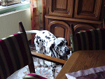 Fotoblog majkuchh