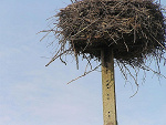 Fotoblog zacieszona
