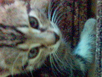 Fotoblog eheh