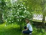 Fotoblog trrr123