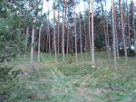 Fotoblog marathonn