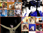Fotoblog paulinka1111xxx