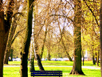 Fotoblog czarnabunia