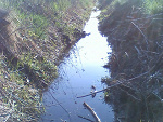Fotoblog ziomalka156