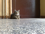 Fotoblog dariamcgregor