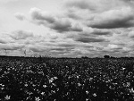 Fotoblog krolikforever