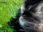 Fotoblog abuuuxd