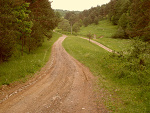 Fotoblog foczka111