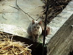 Fotoblog king7