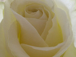 Fotoblog tynka158