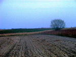 Fotoblog whitewave