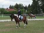 Fotoblog qnik96