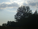 Fotoblog adddax
