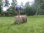 Fotoblog hiddenteam