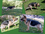Fotoblog klonosk