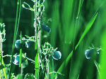 Fotoblog michapychy