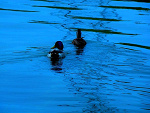 Fotoblog preoccupation