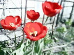 Fotoblog fantasticx3