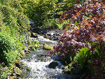 Fotoblog perkoz2