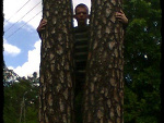 Fotoblog lukasz121