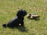 Fotoblog hamoll