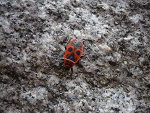Fotoblog mojezdiecia