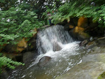 Fotoblog bellamarieswan
