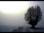 Fotoblog fanstastic