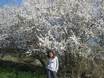 Fotoblog 11natala11