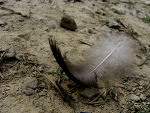 Fotoblog toffiiii