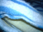 Fotoblog ehhaiiauriakrik