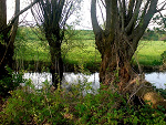 Fotoblog madzia13995