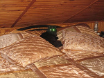 Fotoblog dewora