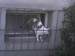 Fotoblog hipisek1989