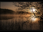 Fotoblog bejbusiekk