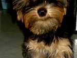 Fotoblog onlylove093