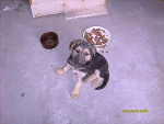 Fotoblog snickers11