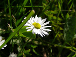 Fotoblog iskrra
