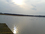 Fotoblog tenpanipani