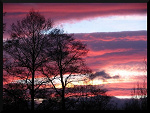 Fotoblog basiek1504