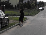 Fotoblog zajac017