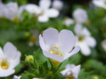 Fotoblog 4070