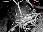 Fotoblog inkheart