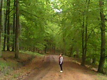 Fotoblog arvena15