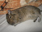 Fotoblog sylwekbs