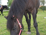 Fotoblog karcia09rusia